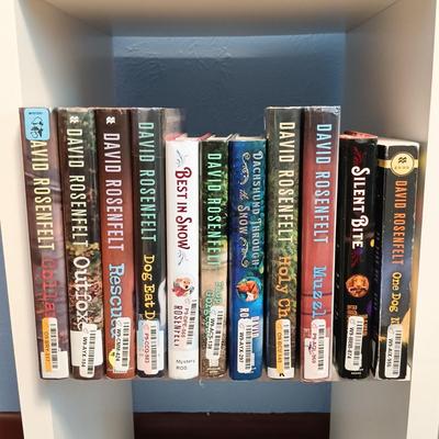 LOT 140: Large Lot of Books with Bookshelf Featuring Anne Rice, Janet Evanovich, Ann Cleeves & More