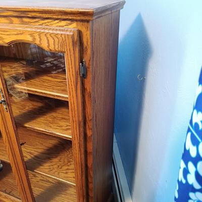 LOT 153: Vintage Book / Curio Cabinet