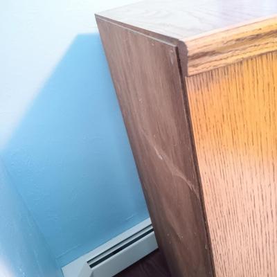 LOT 153: Vintage Book / Curio Cabinet
