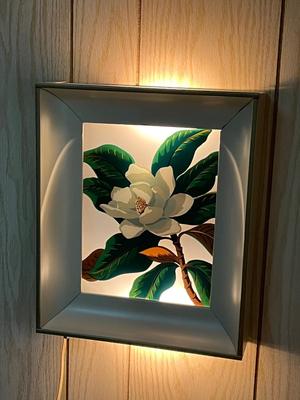 LOT 82X: Pair of Light-Up Shadow Box Wall Art Pieces