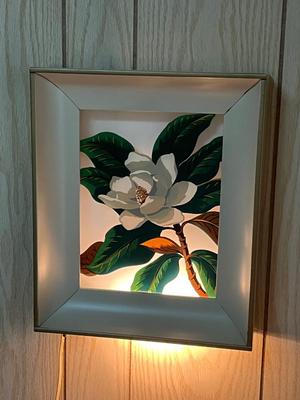 LOT 82X: Pair of Light-Up Shadow Box Wall Art Pieces