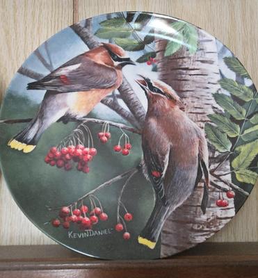 LOT 88X: Encyclopedia Britannica Birds of Your Garden Limited Edition & Numbered Knowels China Plates Painted by Kevin Daniel with...