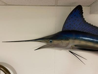 Fiberglass Blue Marlin Wall Mount Sculpture