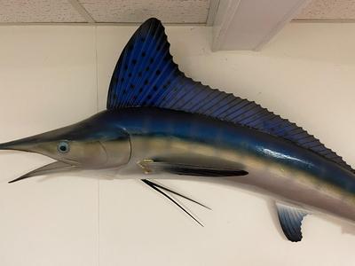 Fiberglass Blue Marlin Wall Mount Sculpture