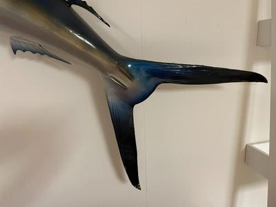 Fiberglass Blue Marlin Wall Mount Sculpture