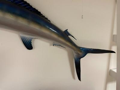 Fiberglass Blue Marlin Wall Mount Sculpture