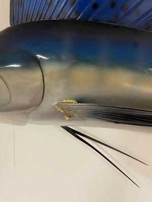 Fiberglass Blue Marlin Wall Mount Sculpture