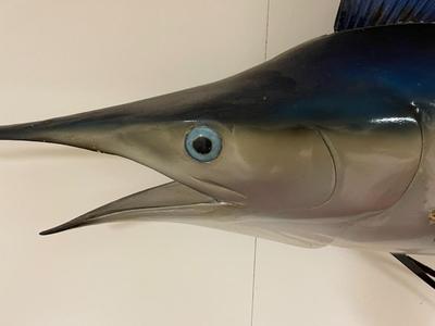 Fiberglass Blue Marlin Wall Mount Sculpture