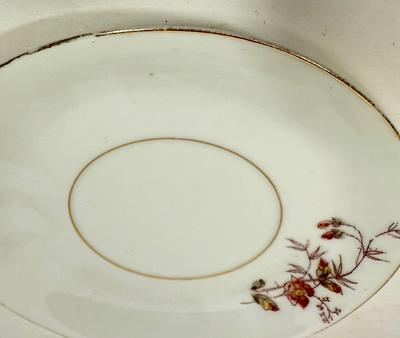 Vintage Hand-painted Bone China Teacup & Saucer