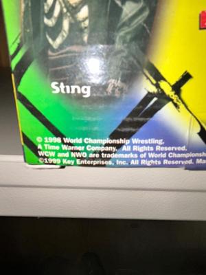 1998 WCW DIAMOND DALLAS PAGE BOBBLE HEAD AND 1999 NWO HULK HOGAN HEAD MUG