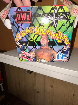 1998 WCW DIAMOND DALLAS PAGE BOBBLE HEAD AND 1999 NWO HULK HOGAN HEAD MUG