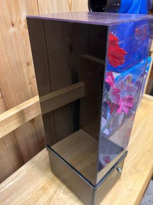 TRACER PROJECTOR JUNIOR AND FLORAL FIBER OPTIC LAMP