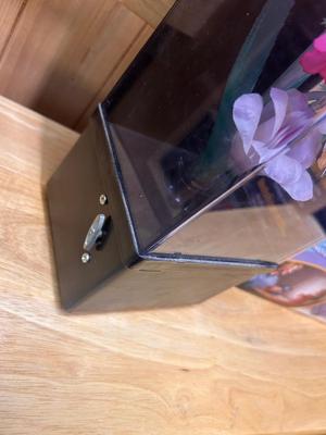 TRACER PROJECTOR JUNIOR AND FLORAL FIBER OPTIC LAMP