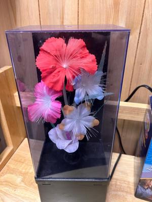 TRACER PROJECTOR JUNIOR AND FLORAL FIBER OPTIC LAMP