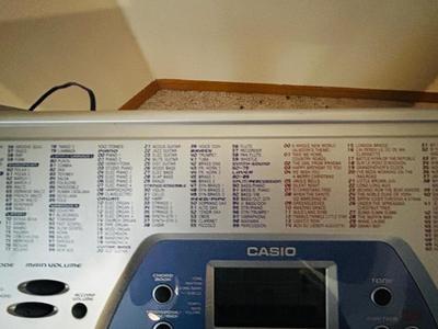 CTK-481 100 SONG BANK CASIO KEY BOARD WITH STAND AND BOOKS