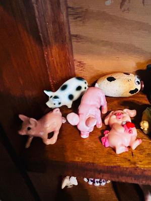 DISPLAY CASE PACKED FULL OF PIGS