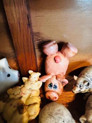DISPLAY CASE PACKED FULL OF PIGS
