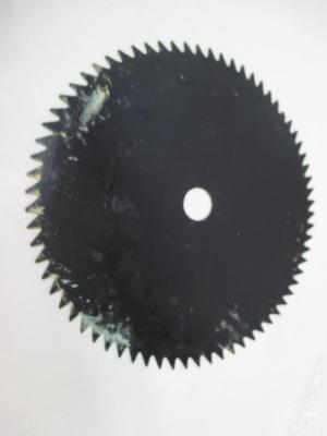 Hand Painted 9 3/4" Saw Blade