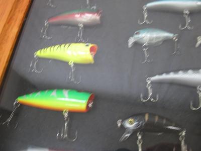 Fishing Lures Mounted In Shadow Box