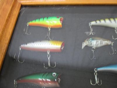 Fishing Lures Mounted In Shadow Box