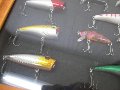 Fishing Lures Mounted In Shadow Box