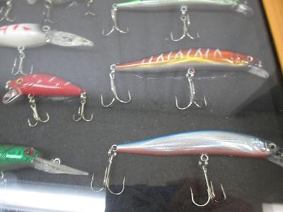 Fishing Lures Mounted In Shadow Box