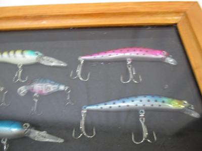 Fishing Lures Mounted In Shadow Box
