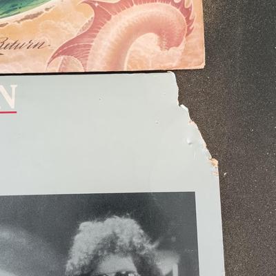 LOT 345: Record Collection- Bruce Springsteen & The E Street Band, Blondie, The Rolling Stones & More