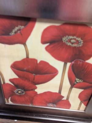 Sale Photo Thumbnail #539