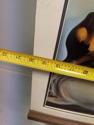 Sale Photo Thumbnail #568