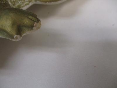 Sale Photo Thumbnail #850