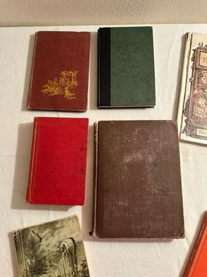 VINTAGE YOUNG ADULT BOOKS