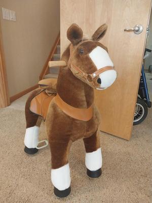 RODEO RIDING HORSE