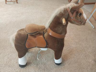 RODEO RIDING HORSE