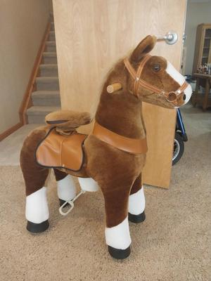 RODEO RIDING HORSE