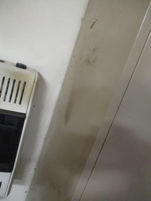 Metal Storage Cabinet (Contents Not Included) (G)