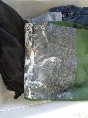 Assortment Of Clothing Tee Shirts Sweaters Lot B (G)