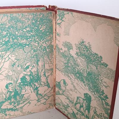 LOT 31: Vintage Book Lot- The Hobbit 1966, Lobo Rag and Vixen 1907 & More