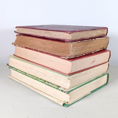 LOT 31: Vintage Book Lot- The Hobbit 1966, Lobo Rag and Vixen 1907 & More