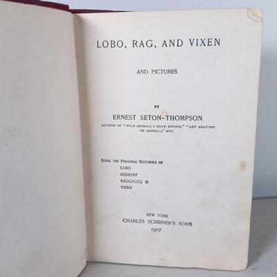 LOT 31: Vintage Book Lot- The Hobbit 1966, Lobo Rag and Vixen 1907 & More