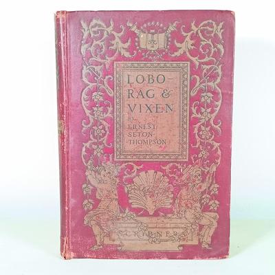 LOT 31: Vintage Book Lot- The Hobbit 1966, Lobo Rag and Vixen 1907 & More