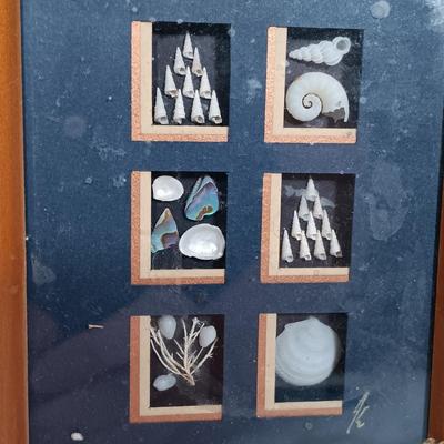 LOT 162: Pacific Creations Miniature Framed New Zealand Shells with Coral & Merman Ornament