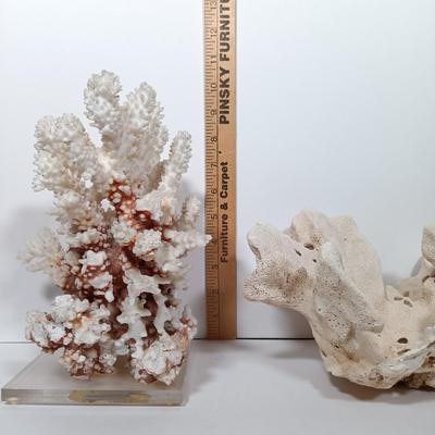 LOT 162: Pacific Creations Miniature Framed New Zealand Shells with Coral & Merman Ornament