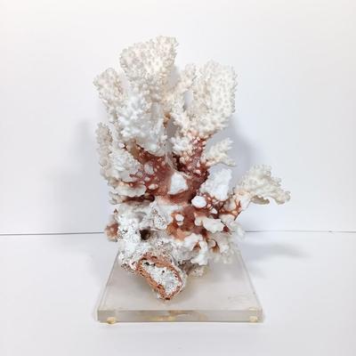 LOT 162: Pacific Creations Miniature Framed New Zealand Shells with Coral & Merman Ornament