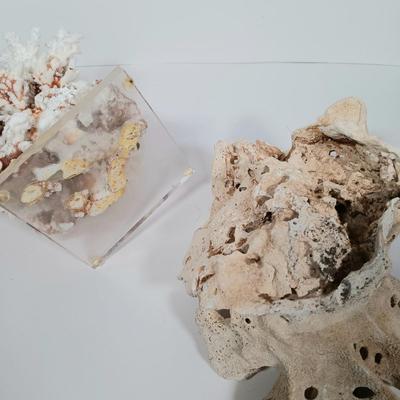LOT 162: Pacific Creations Miniature Framed New Zealand Shells with Coral & Merman Ornament