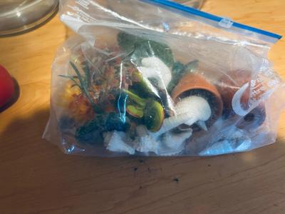 FISH BOWLS AND ACCESSORIES