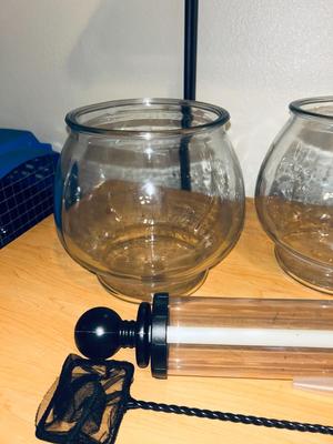 FISH BOWLS AND ACCESSORIES
