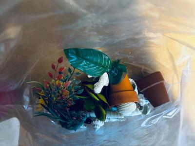 FISH BOWLS AND ACCESSORIES