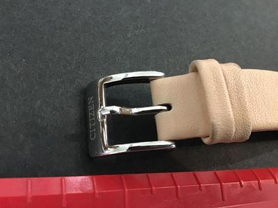 Working EcoDrive Blush Leather Band Citizen