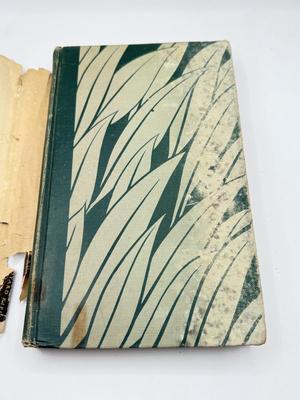 LOT 3L: 1923 Fairy Tales That Never Grow Old Bright Colorful Illustrations Watty Piper/The Jungle Books Volume I by Rudyard Kipling HC/DJ...